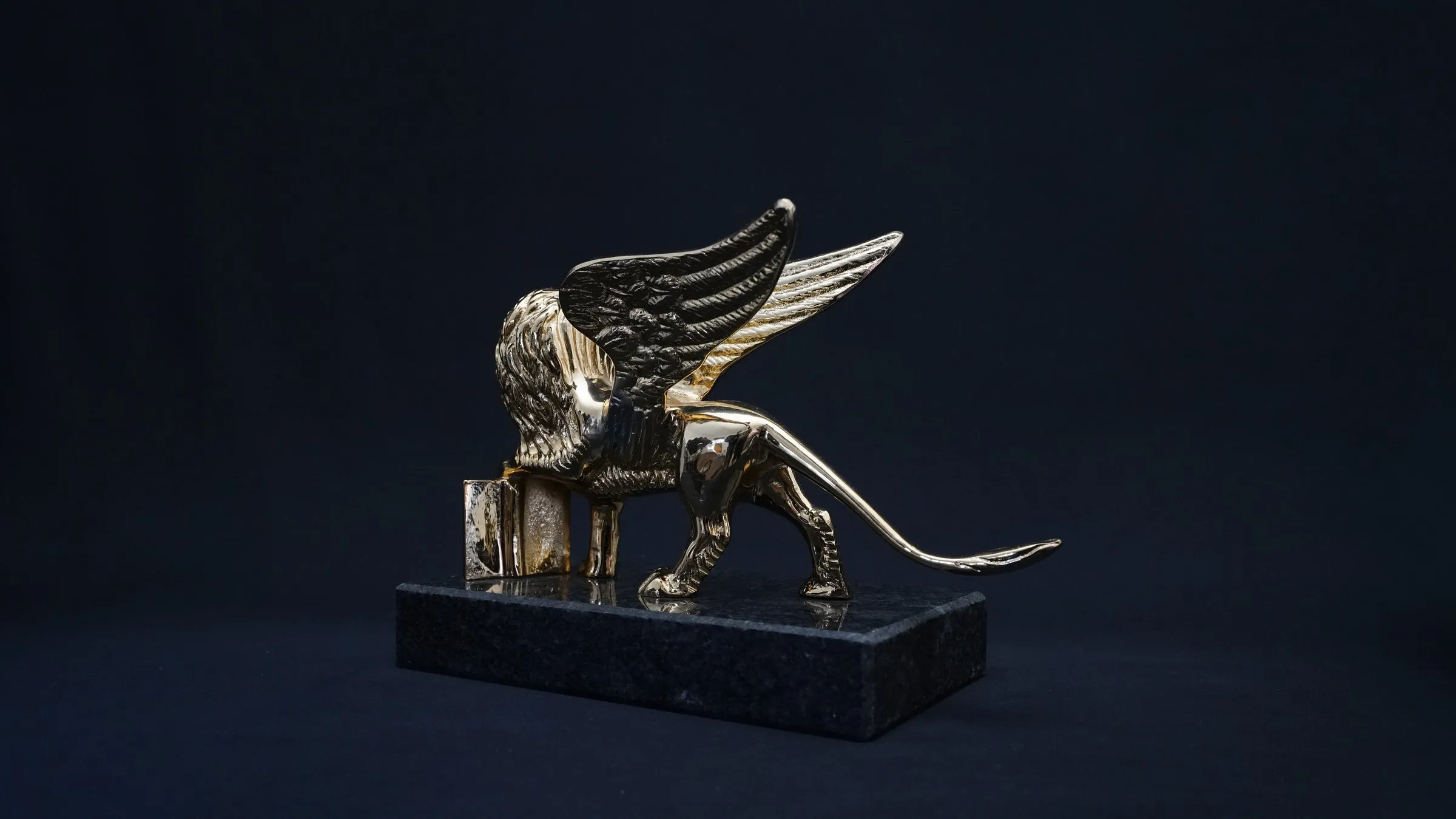 Il Leone di San Marco, trofeo della gara