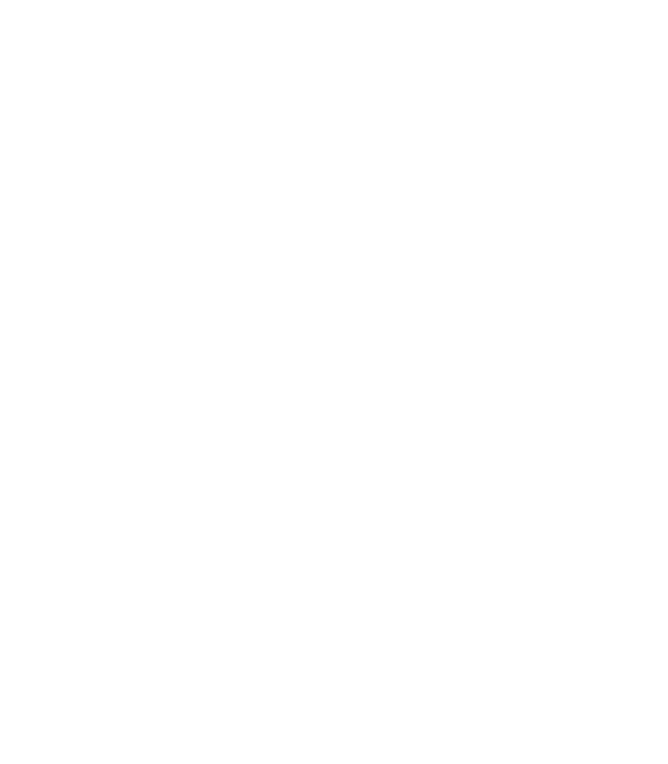 Assonautica Italiana — Unioncamere