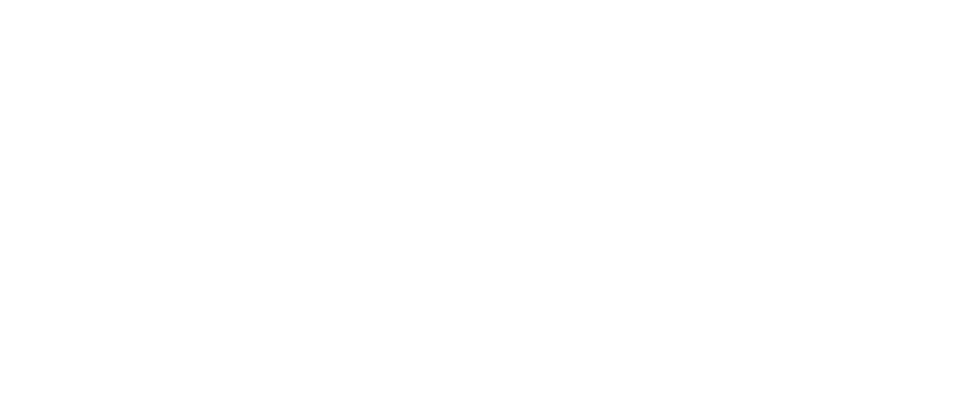 Federazione Italiana Motonautica